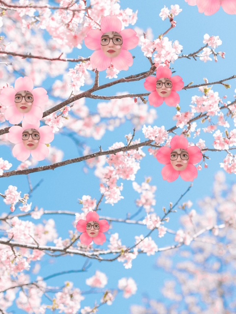 29日と30日は濃ゆいのにハイテンションになっとるから気がつかない子供ちっくな桜の精のわたくし！！