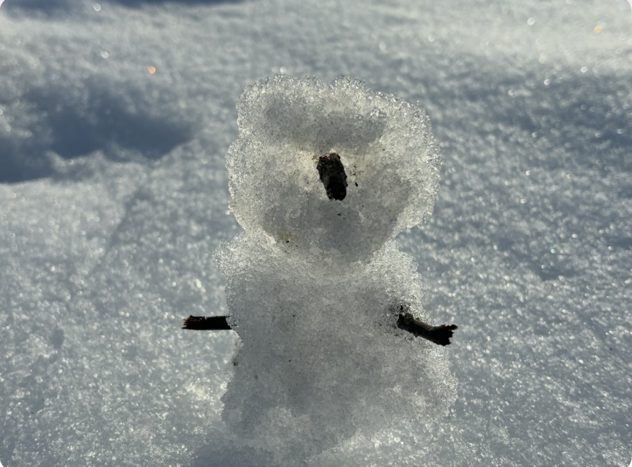 雪の降る2月　毎日が愛しいです❤️