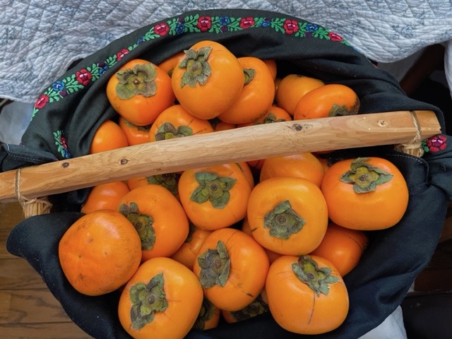 Everyday persimmon fever  元気いっぱいなパフェとクレープな週末です！！