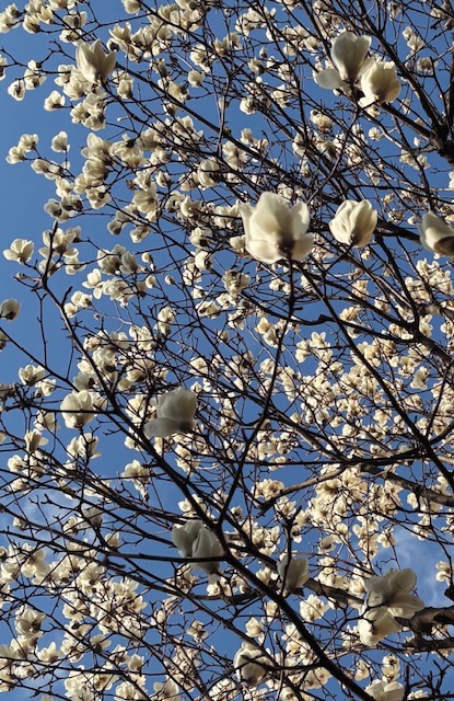 古町SAISONで素直な気持ちになれるわたくし！出逢いに感謝です！！