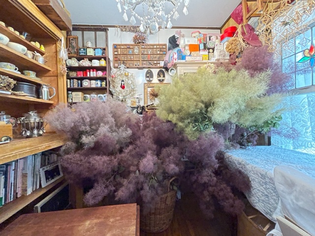Noël’s fabulous & amazing  forest of smoke tree