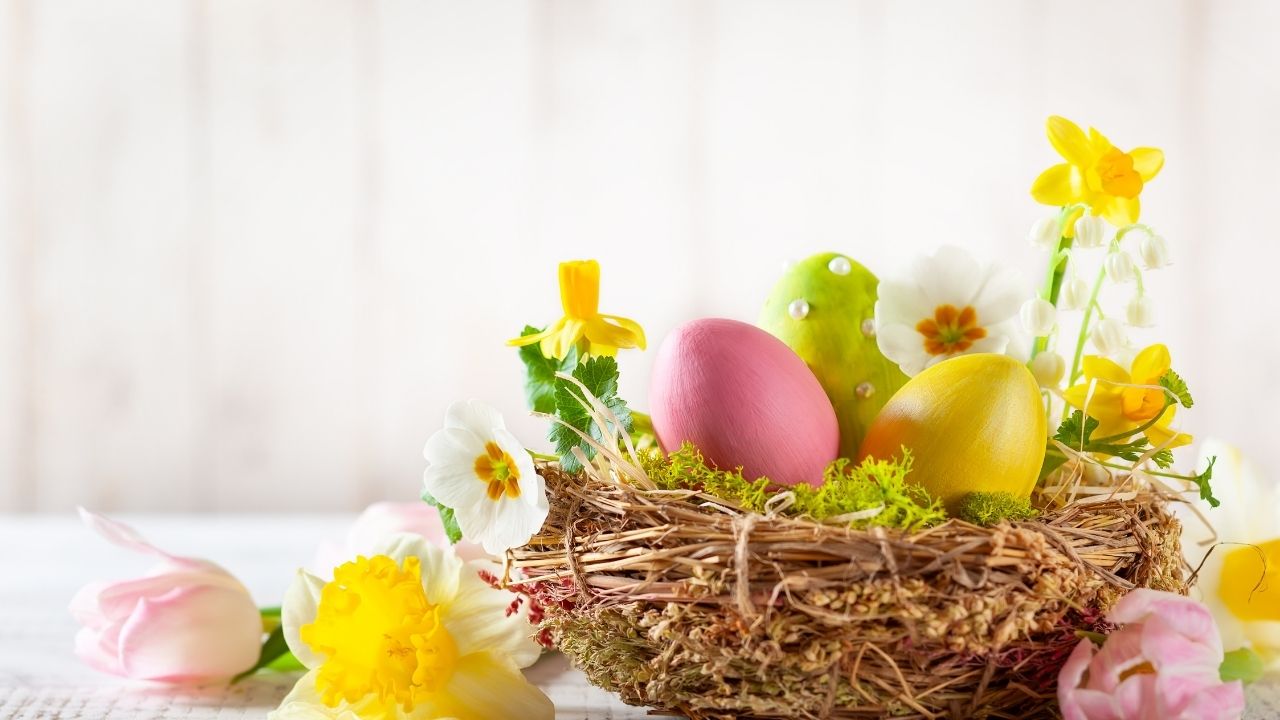 Joyeuses Pâques !  et  Poisson d’Avril