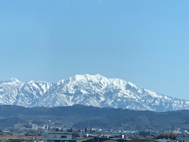 3月は黄色でいこうかな？