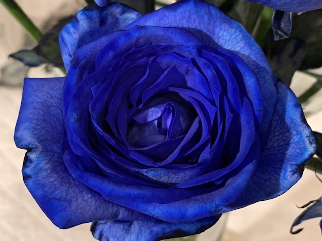 BLUE ROSEでキャンドルナイトな日曜日