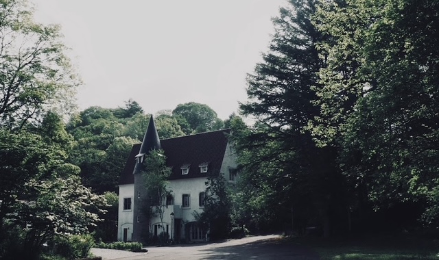 秋風さらさらそよそよ　心の琴線に触れる絵本の中の森に迷い込んでしまったような佐渡一人旅②