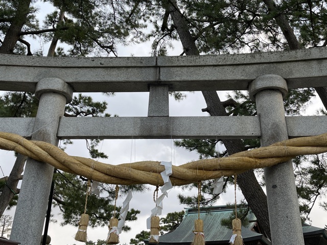 春のお花therapy １  心に栄養をの百花繚乱な週末記