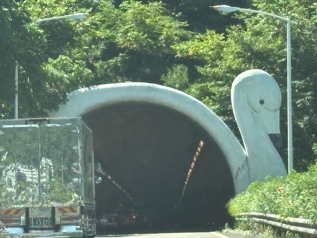 暑いけどぶち上がりの夏が始まっていて青空が綺麗で嬉しい那須高原での緩やかな時間！！