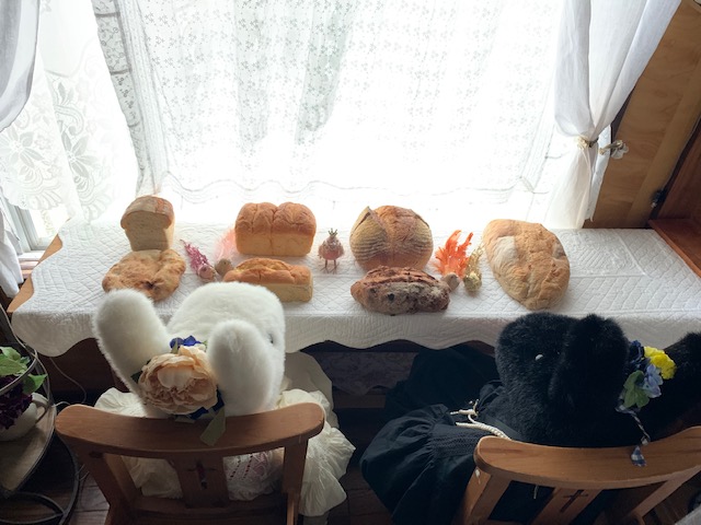 朝から気合入ってます！！