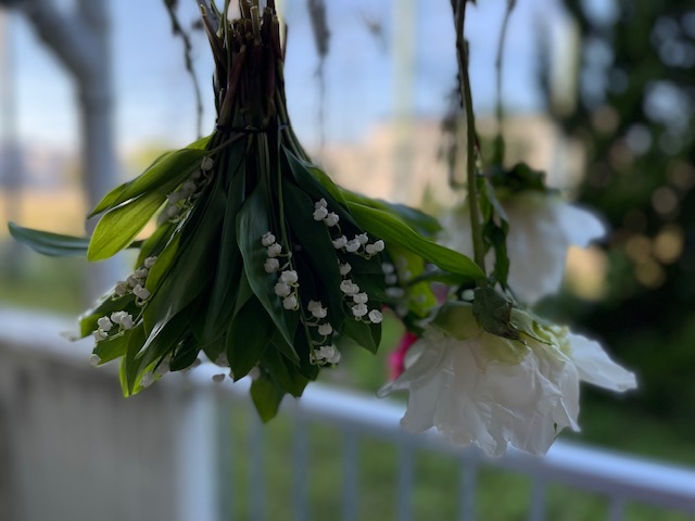 5月の風に吹かれてDried flower と時計草フィーバー
