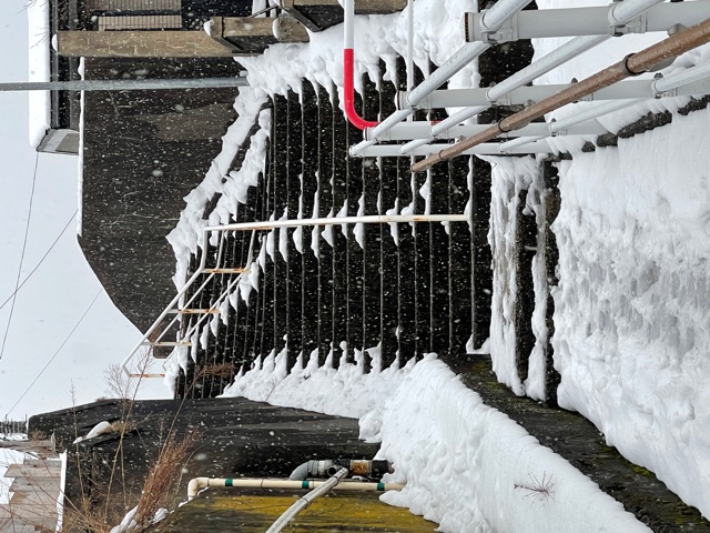 雪の散歩道