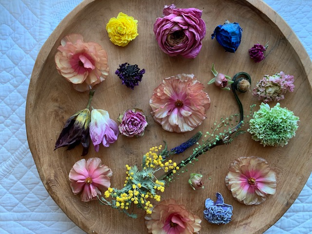 Dried flowerのある風景