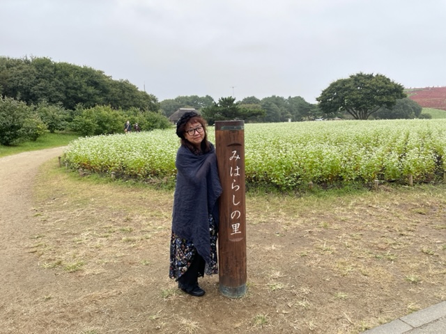 ひたちなか海浜公園のコキア