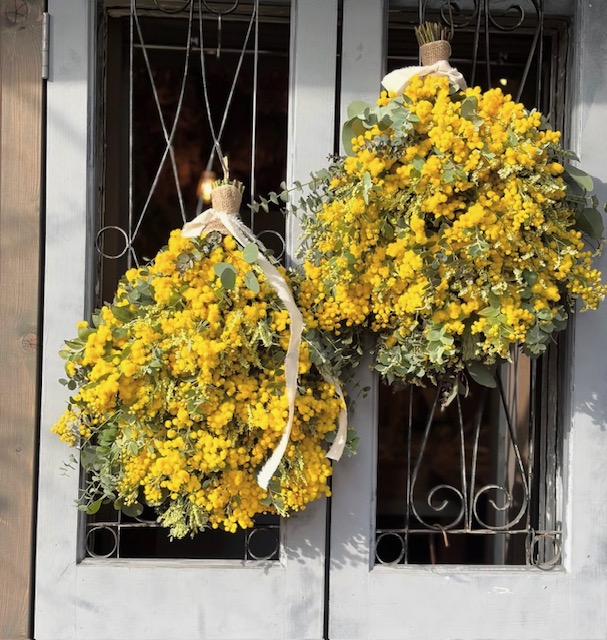 2月もうすぐ逃げちゃう!!😓焦ります!!でも焦っても何もいいことないのでゆっくりいきますわん。