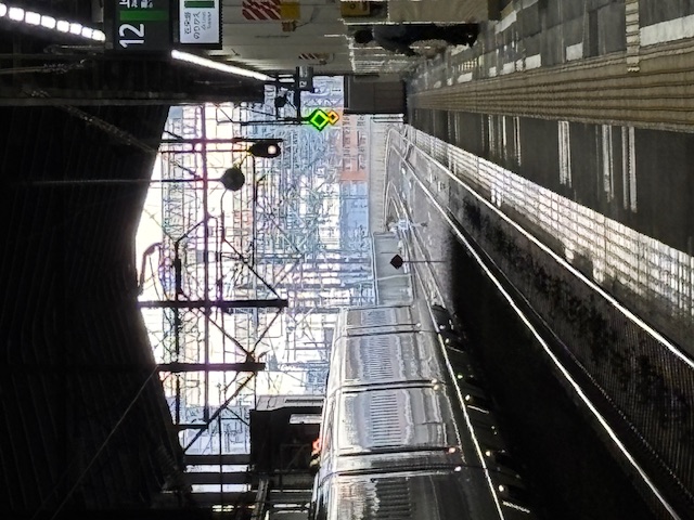 新潟旬菜たなはしと鮨登喜和と角打ち長谷川屋で昼飲み三昧なわたくしと姉の雪見酒２days①