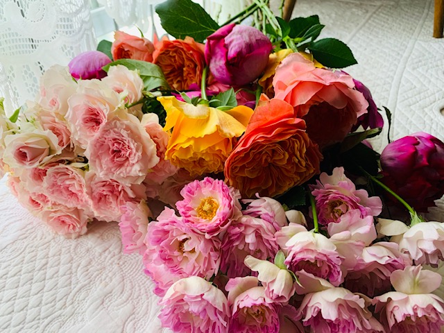 ART ROSE