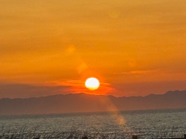 グイグイきてました佐渡のお話はちょいとリセスで新潟の日常のお話をしましょっと。