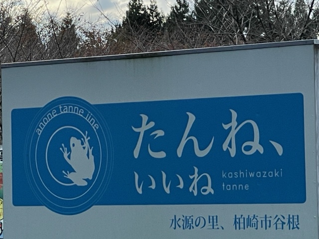 秋の柔らかい日差しを浴びて愛しくて優しい時間の旅路　２　谷根で🐻ʕ•ᴥ•ʔ🐻ベアのWSでした。