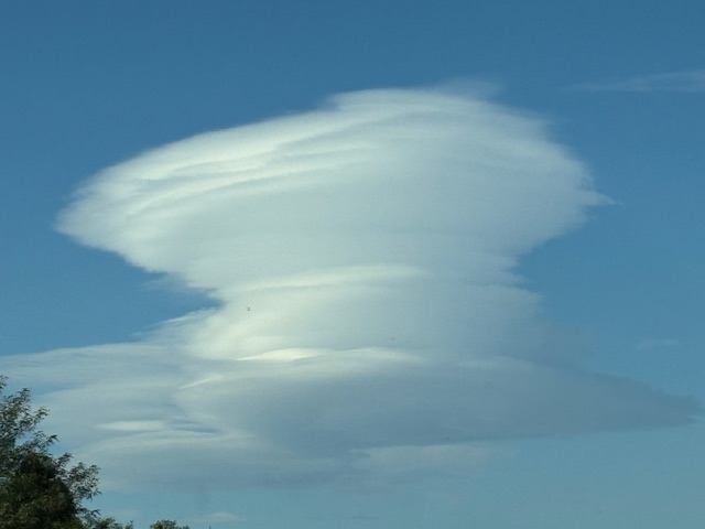 那須高原の風景と栗といちじくの天ぷら🌰と