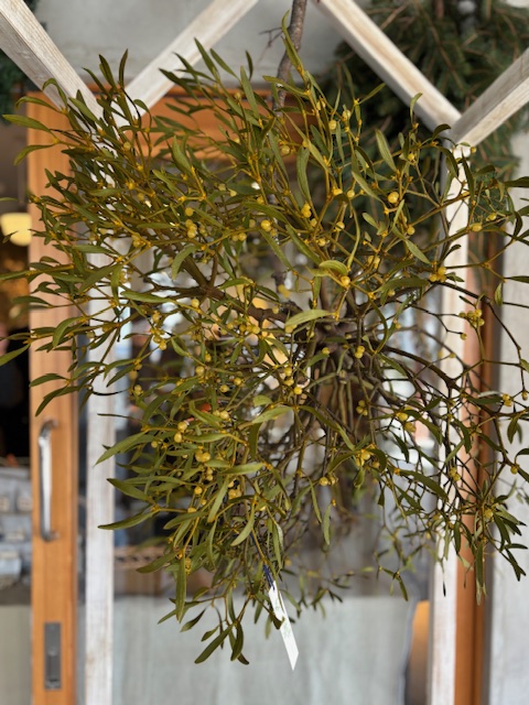 Forêt d’hiver  2025 黒磯 CAFE SHOZOにて　RARIさんの世界感に感服①