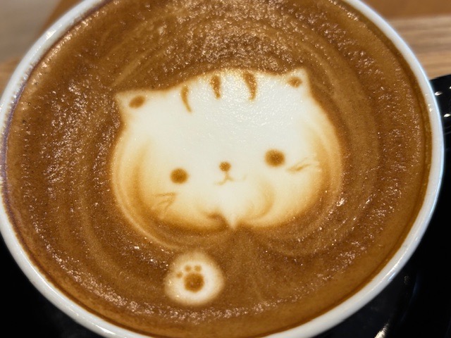 2月のカフェ巡りと飲み歩き概況報告！！雪国の冬を楽しんじゃえ！！！②