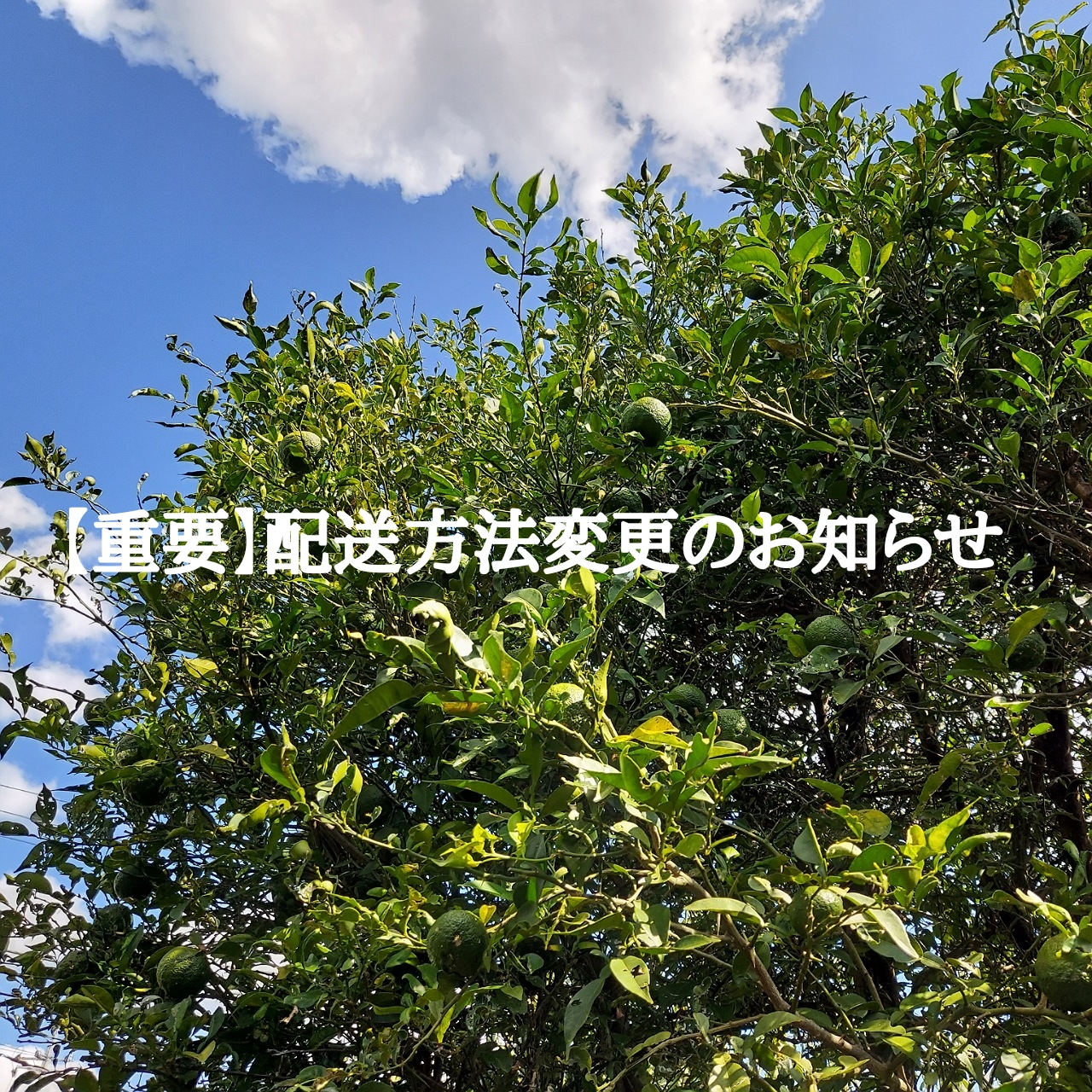 【重要】配送方法変更のお知らせ(2021.11.25改定)