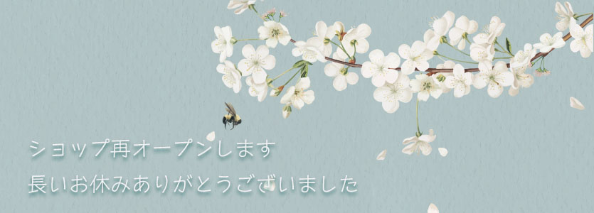 長いお休みありがとうございました