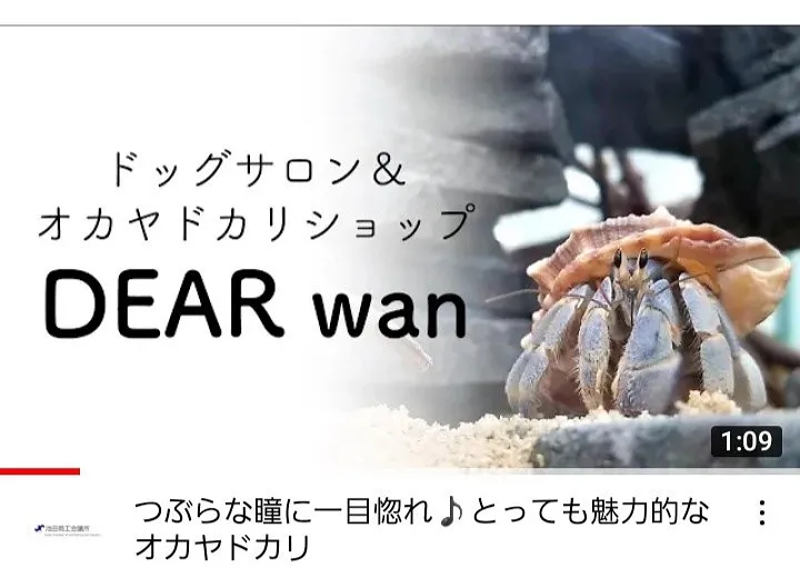 YouTubeで紹介されました！