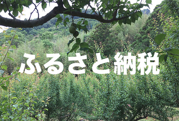 ふるさと納税