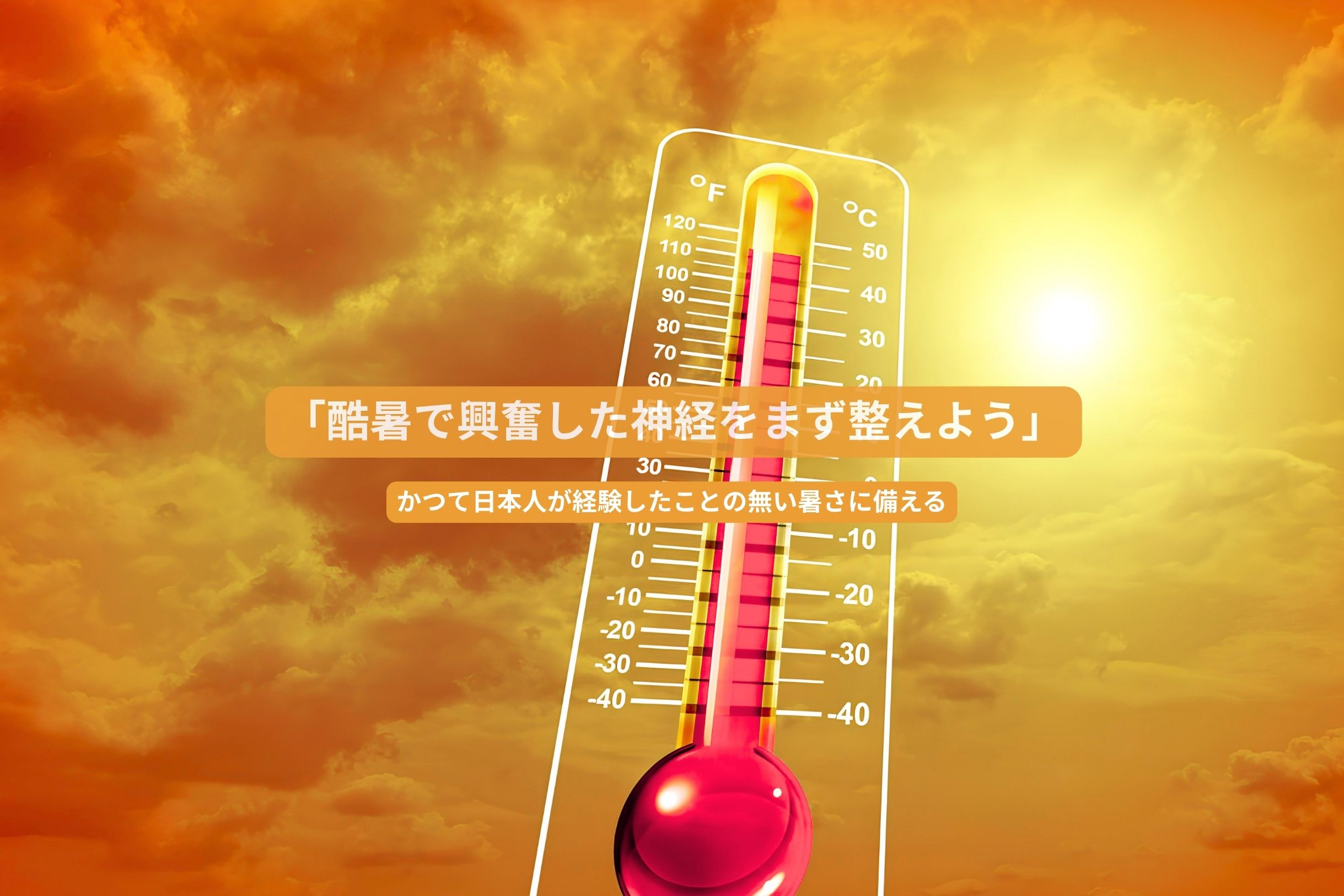 SUMMER RESET 全品20%OFFクーポン配布中。一緒に酷暑を乗り越えましょう。
