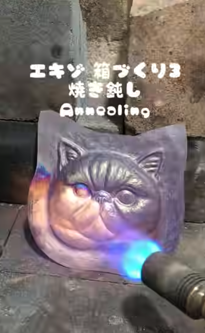 エキゾチックショートヘア・ネコの箱づくり１