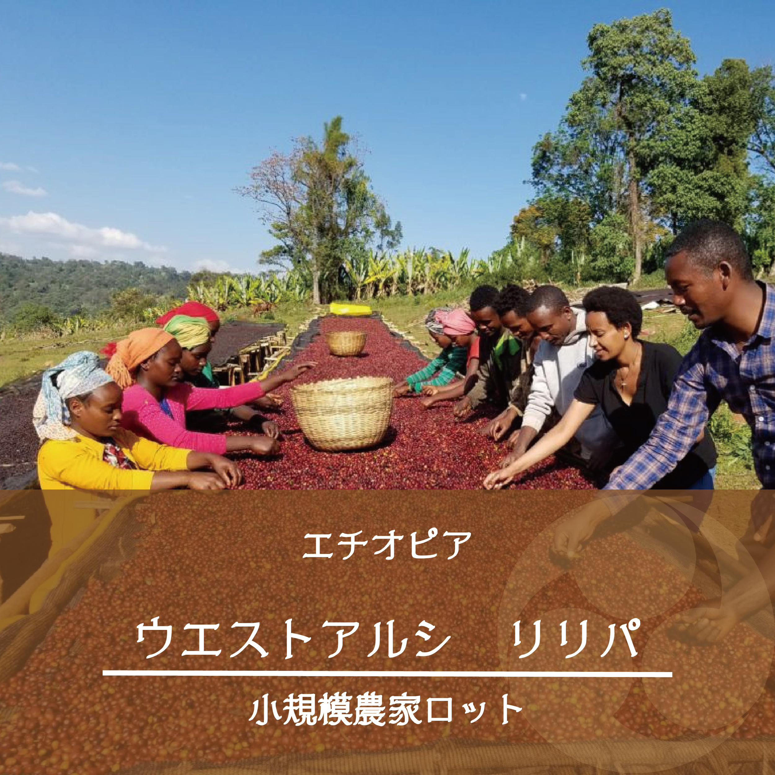 【試飲会：9月20日】
