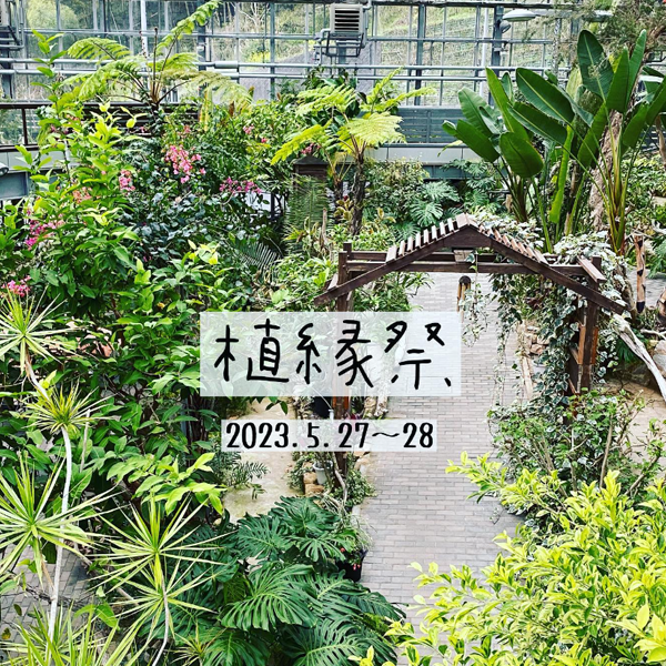 【今週末の予定】