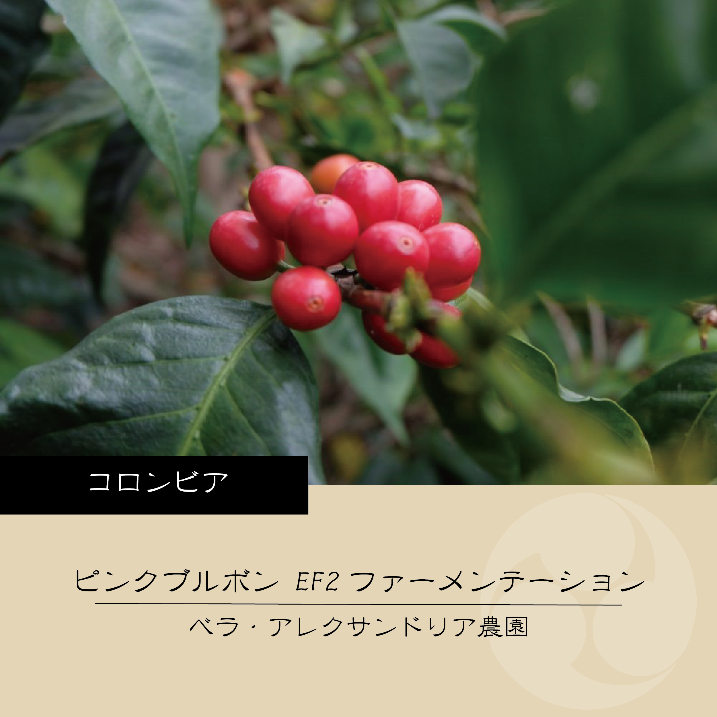 【予想外の期待感】