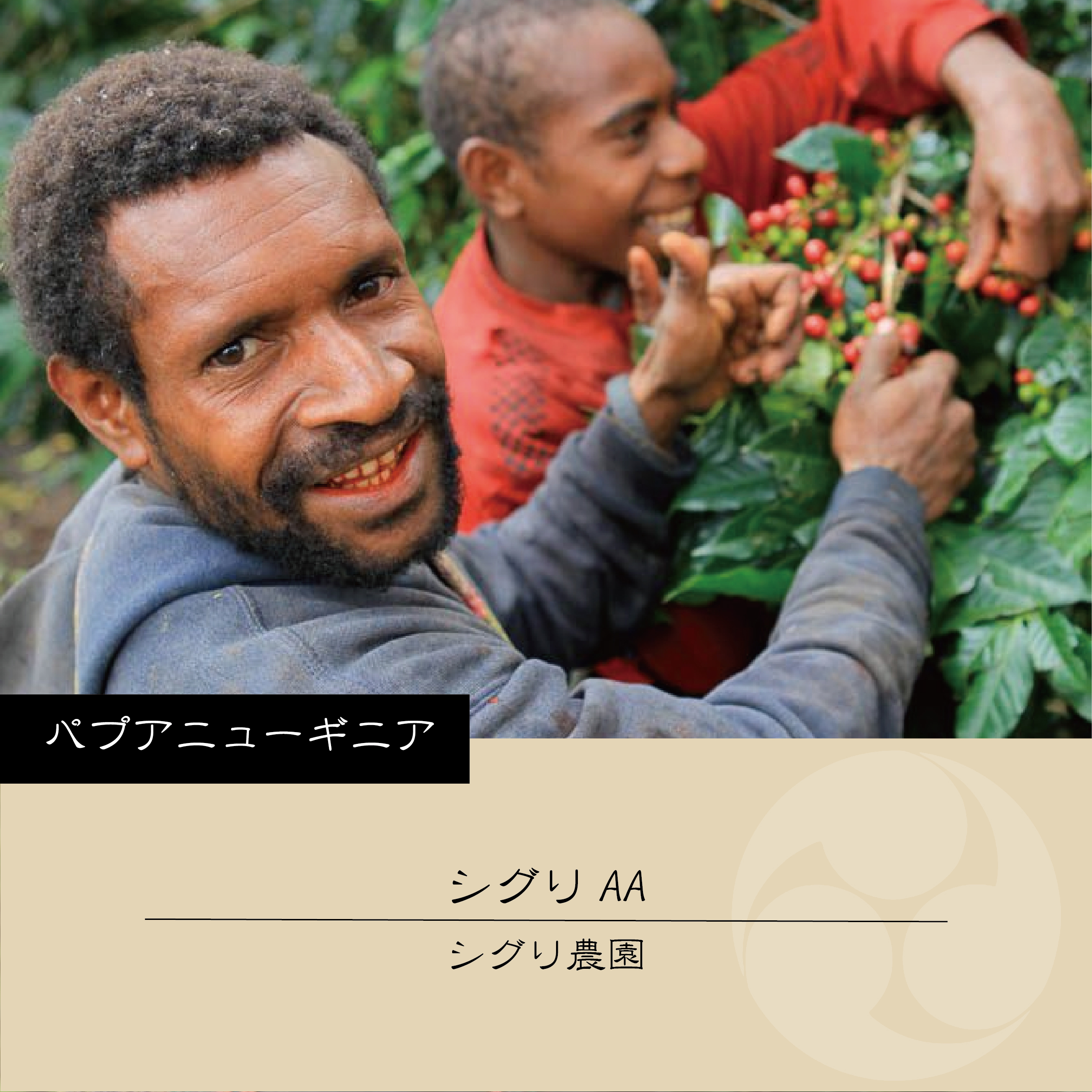 【酸味が苦手な方向け】