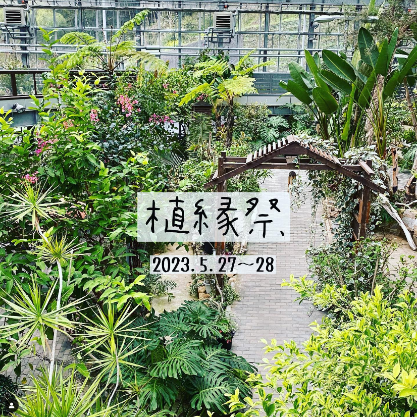 【明日は】