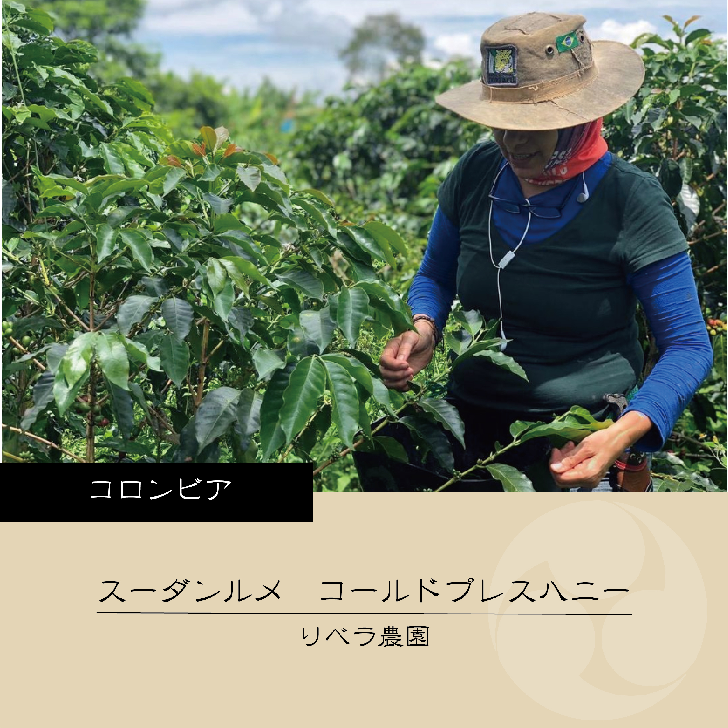 【無料サンプル発送開始します】