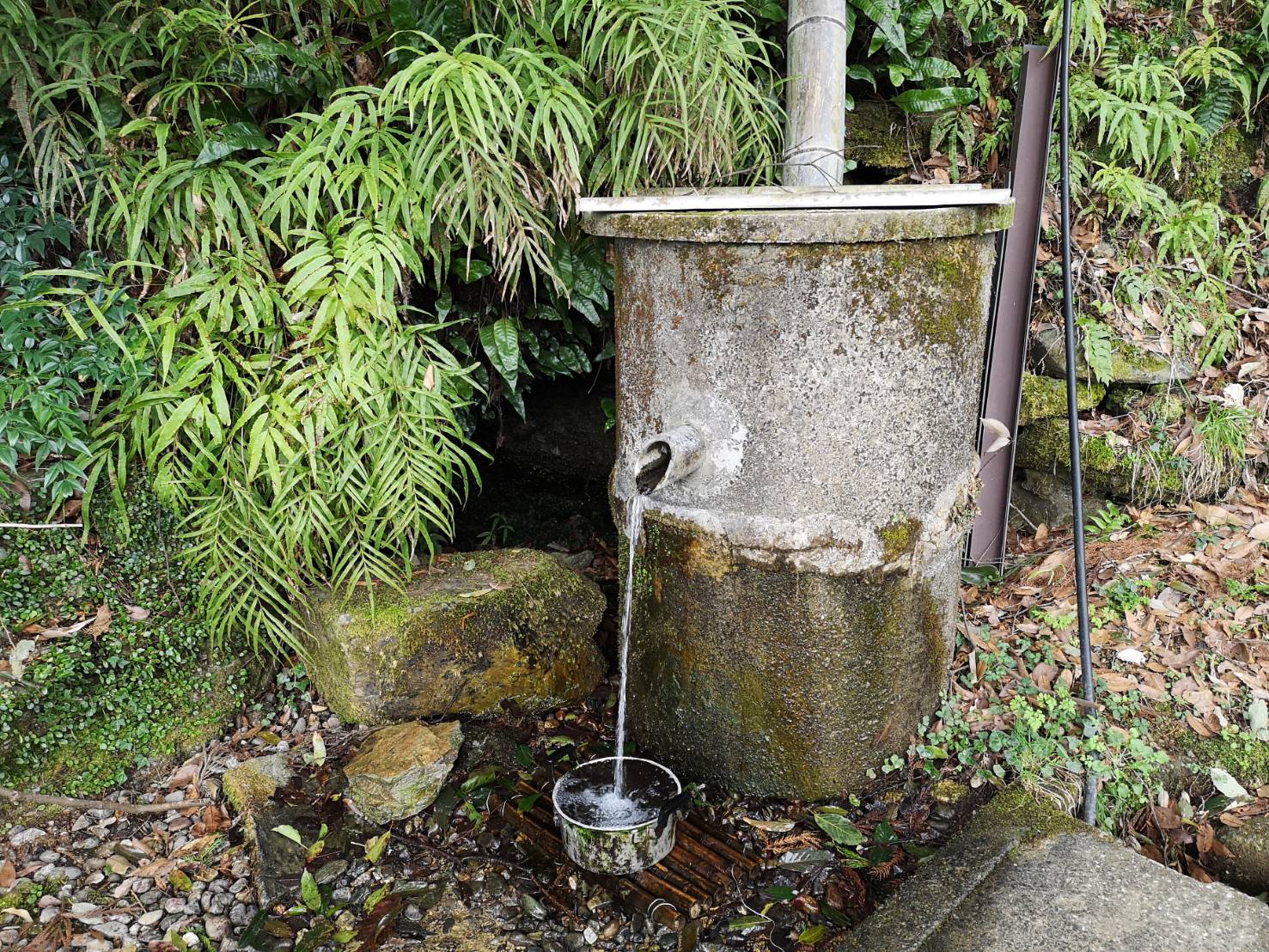 【立川天神水】
