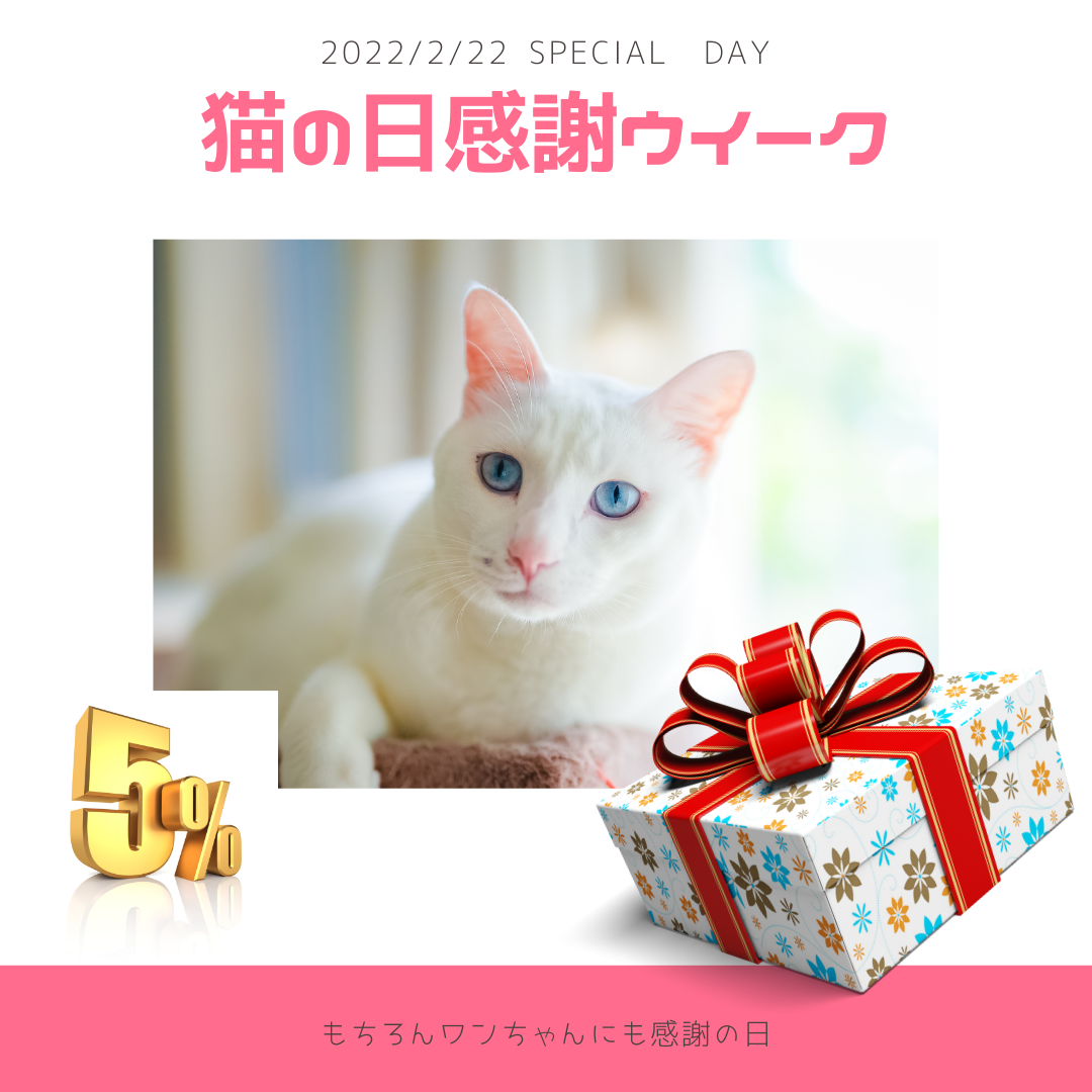 「猫の日記念キャンペーン」のお知らせ