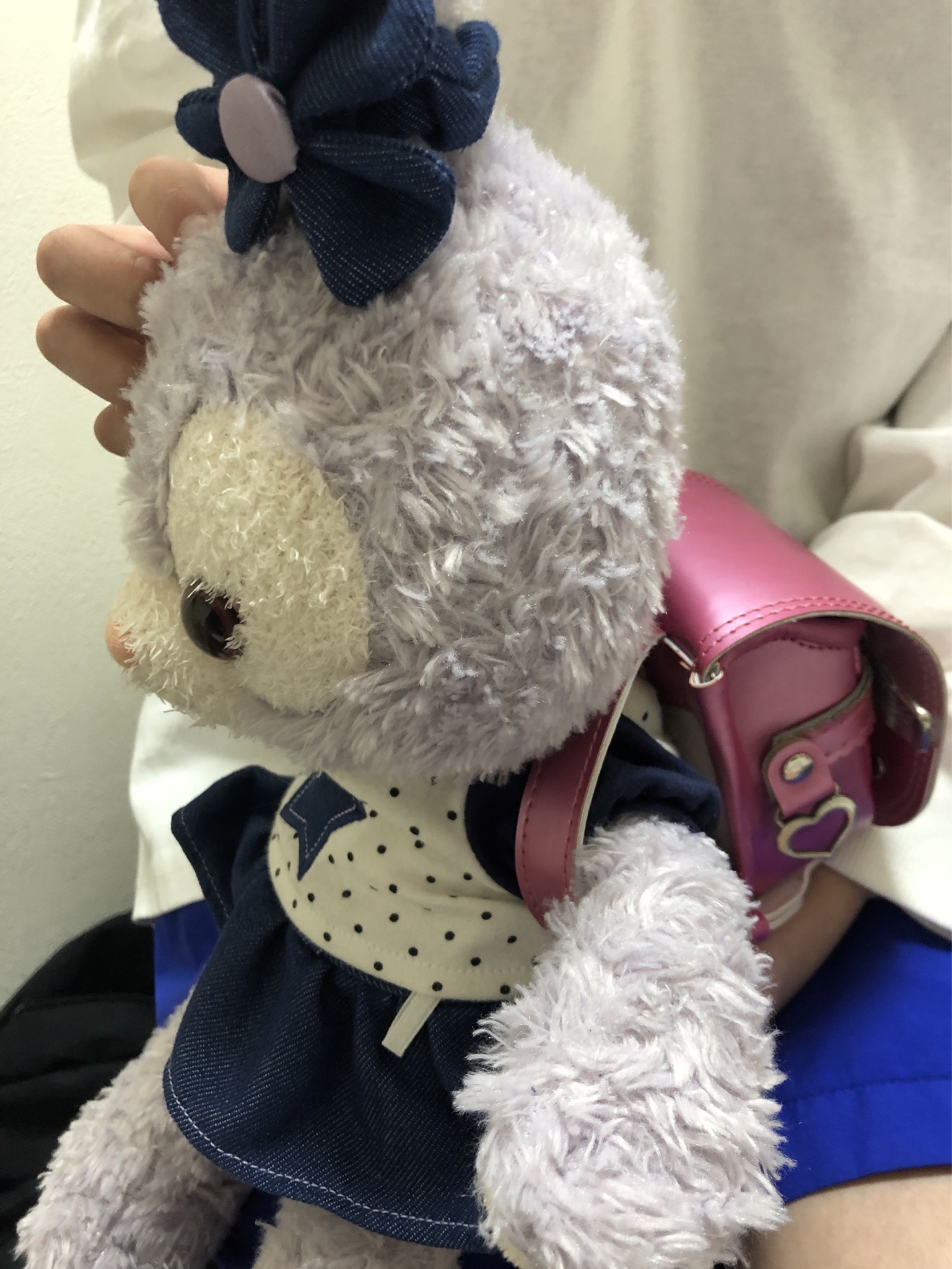 お客様からお写真をいただきました。
