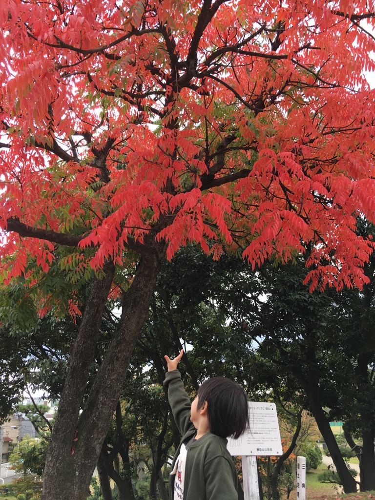 いい季節です