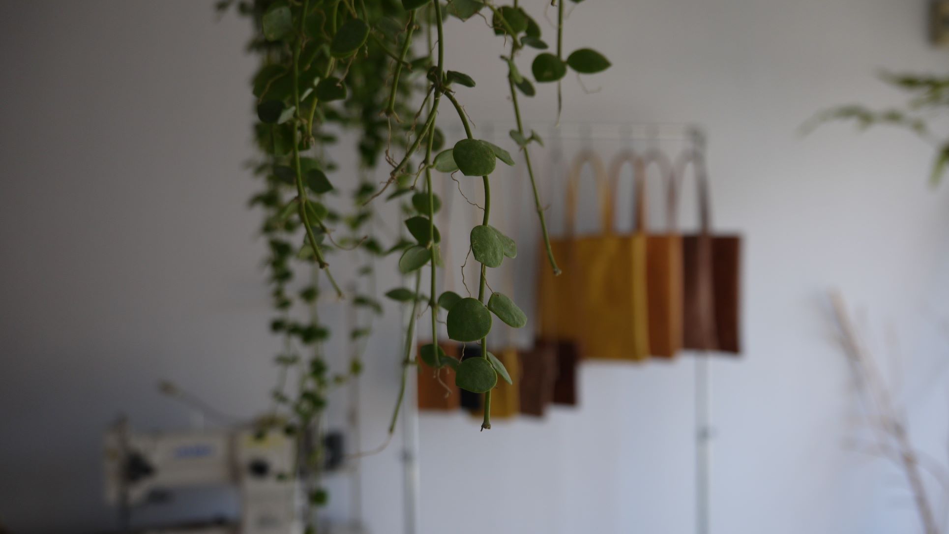 明日からＴＵＤＡの個展です。