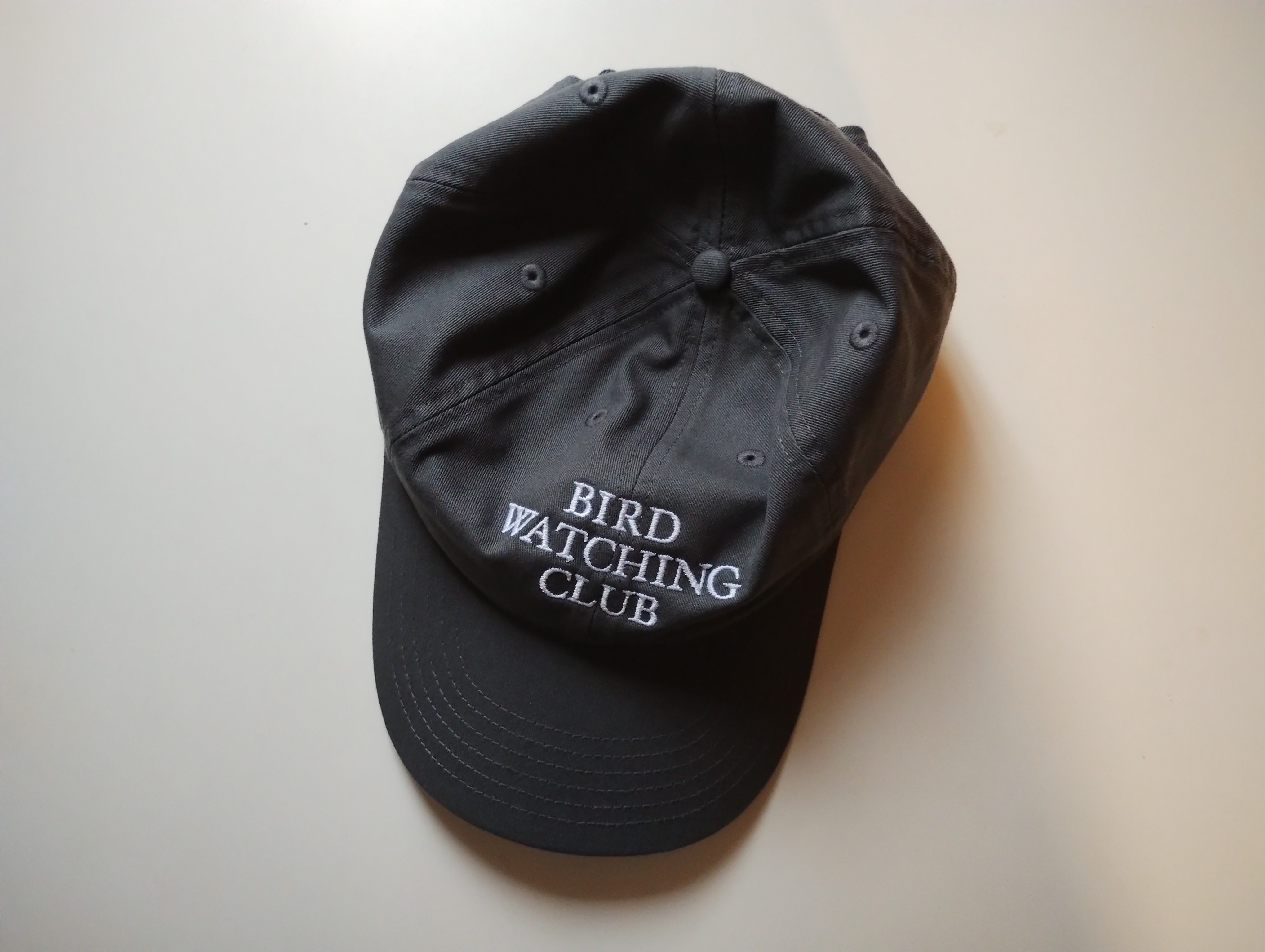 散文 #54 Birdwatching club