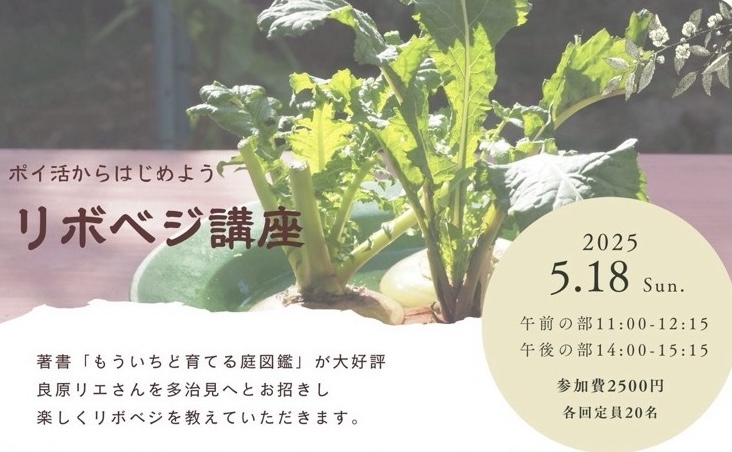5/18 リボベジ講座のご案内