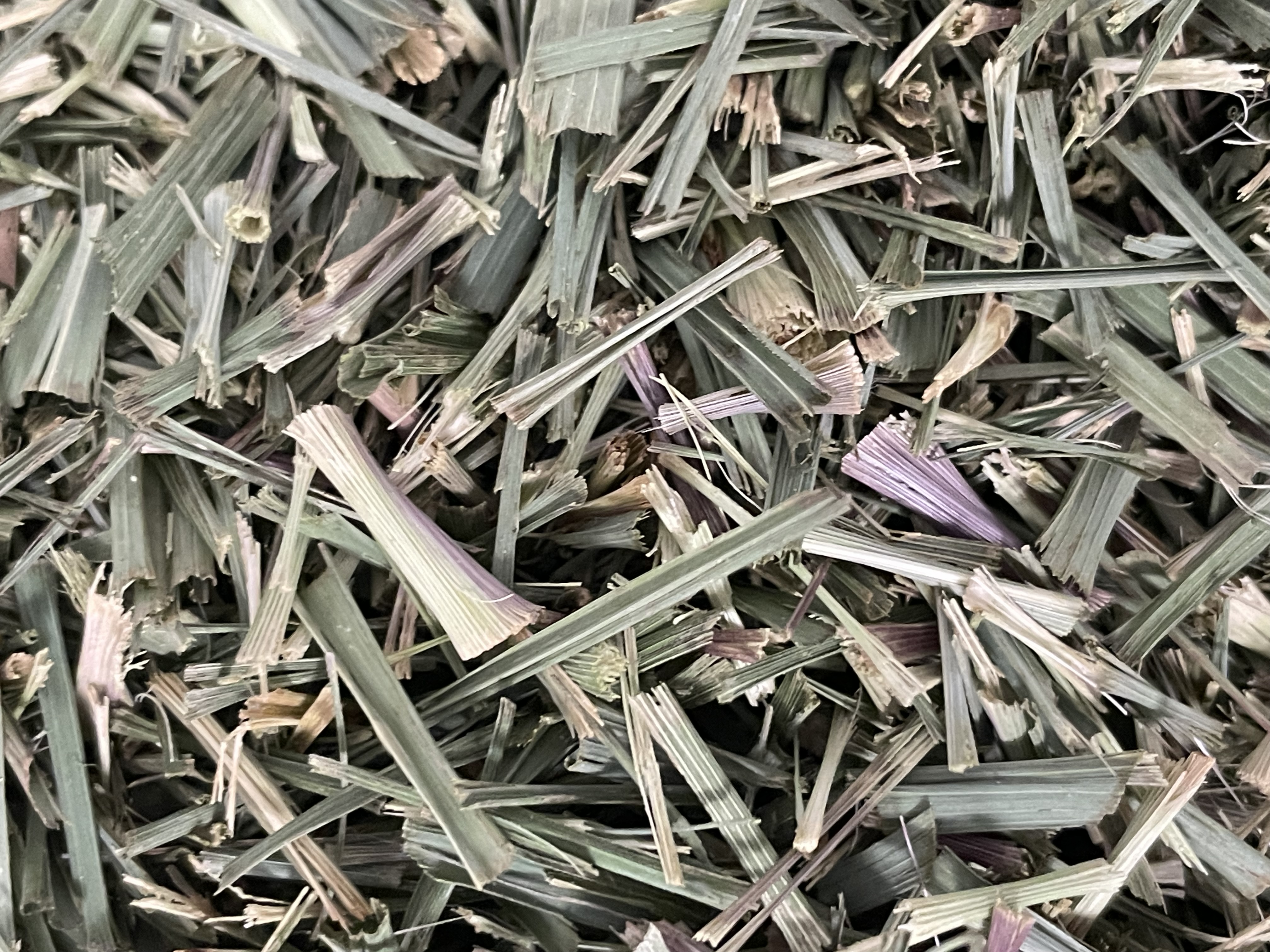 奈良のハーブと野草茶