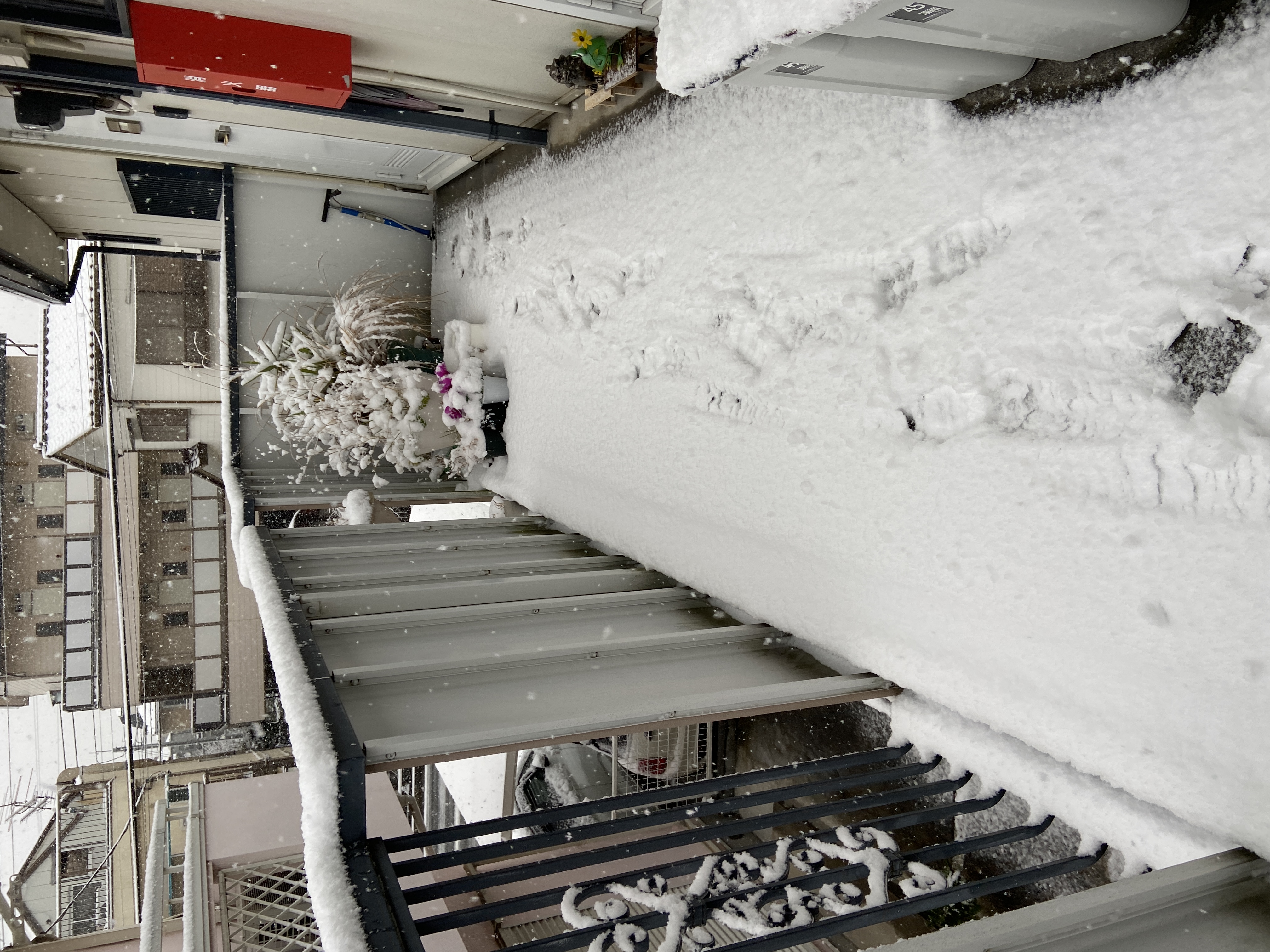 その253 東京大雪