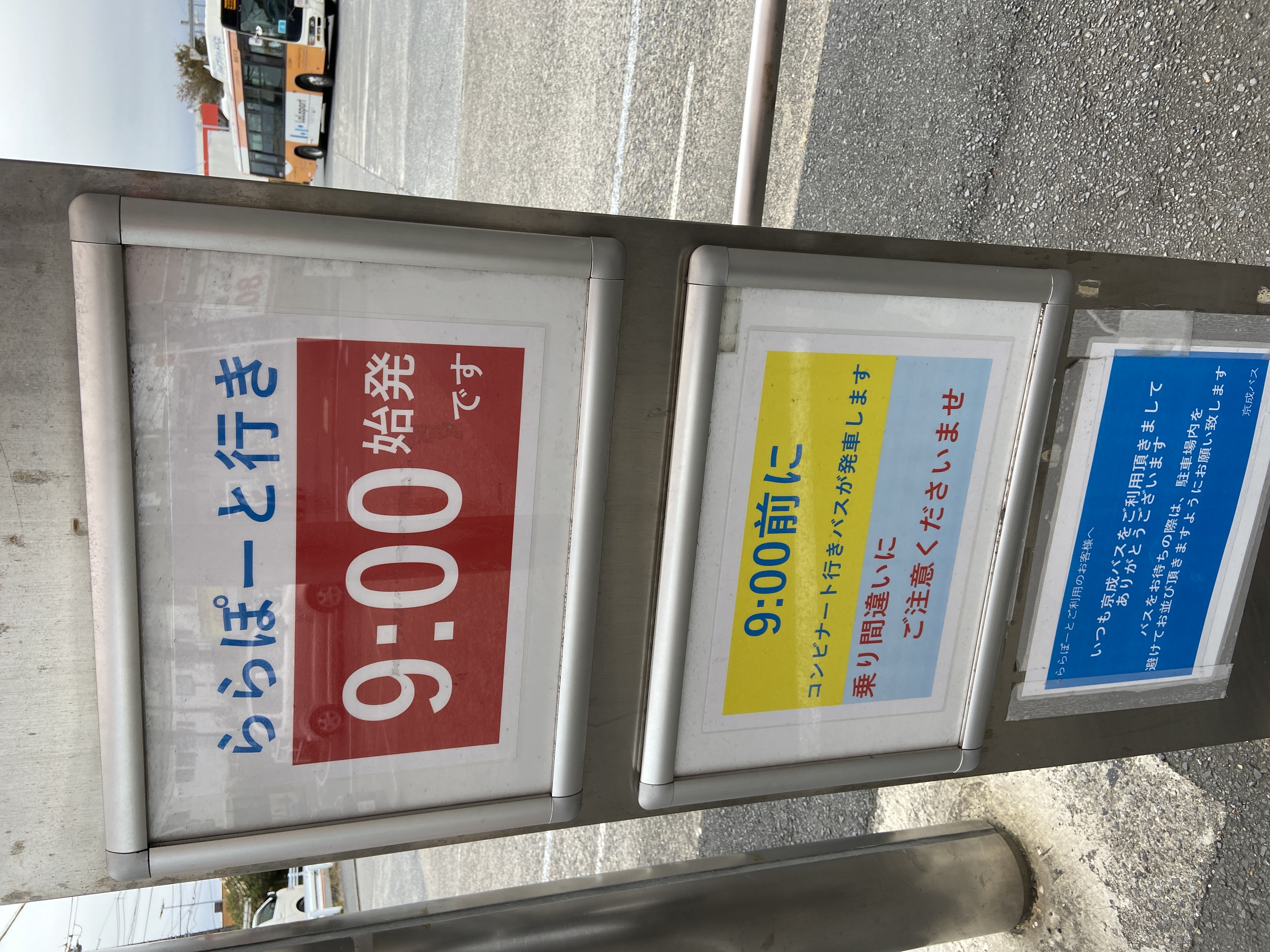 その486 毎日ワクワク