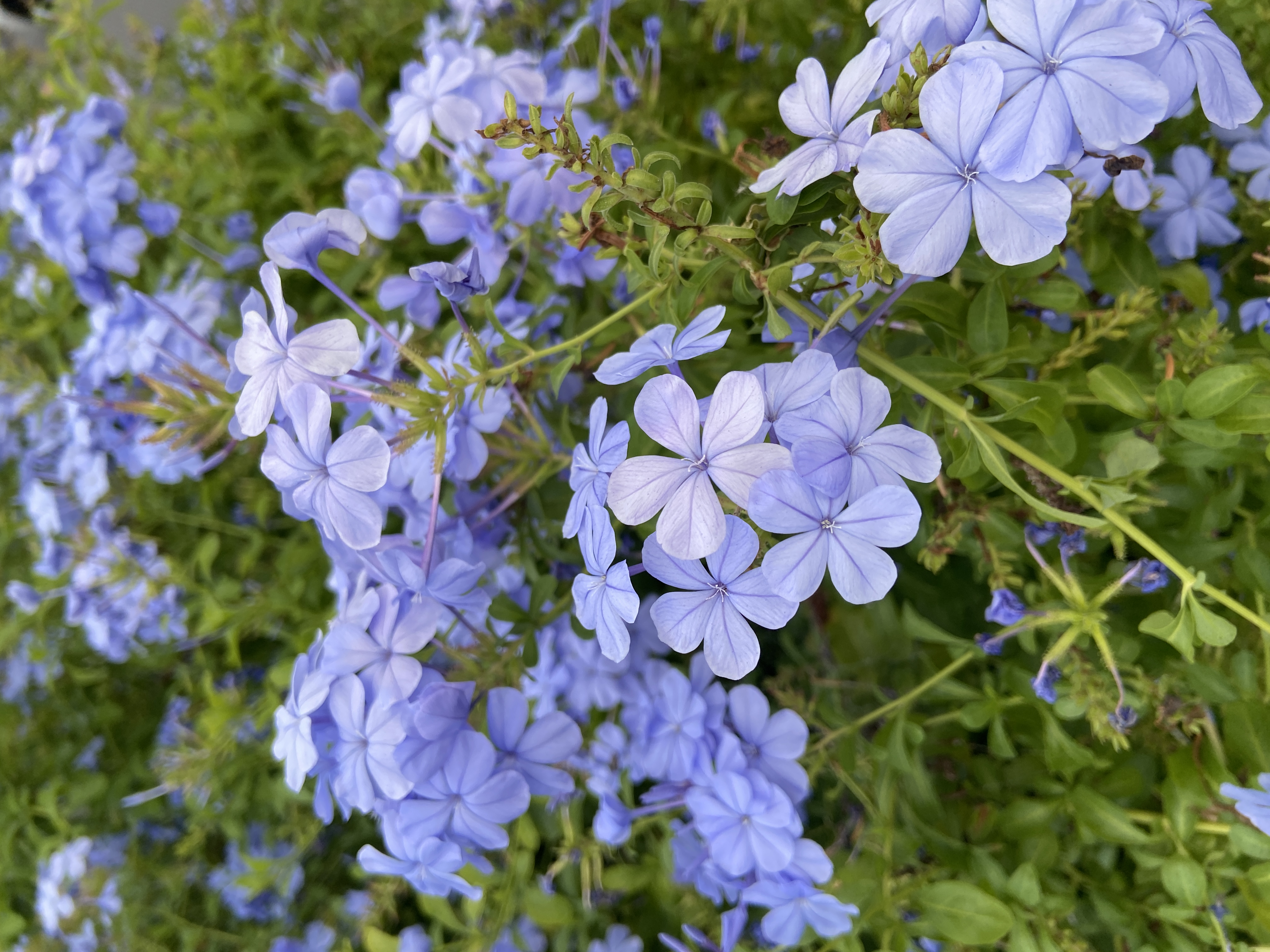 その433 勝つのは難しいけど