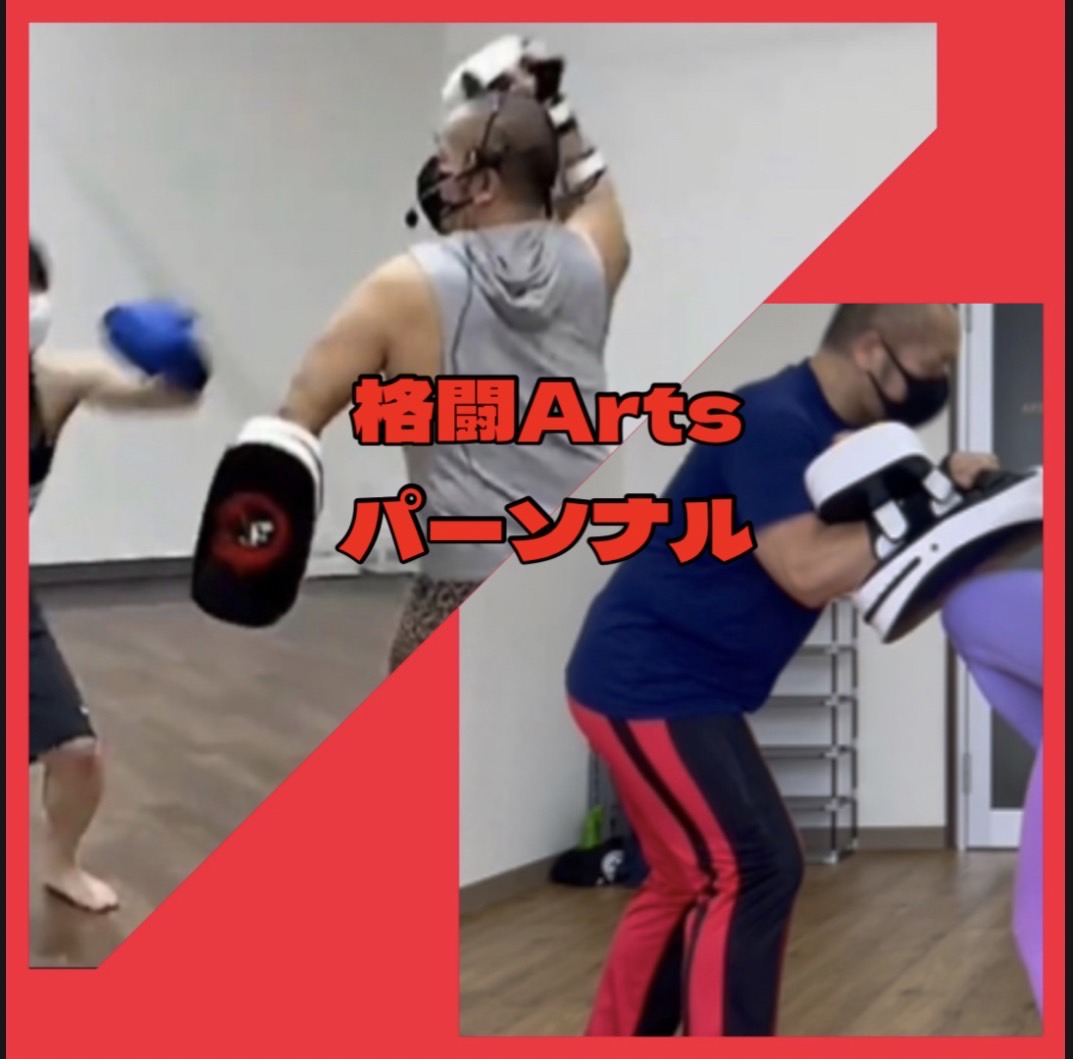 その377 格闘アーツパーソナル