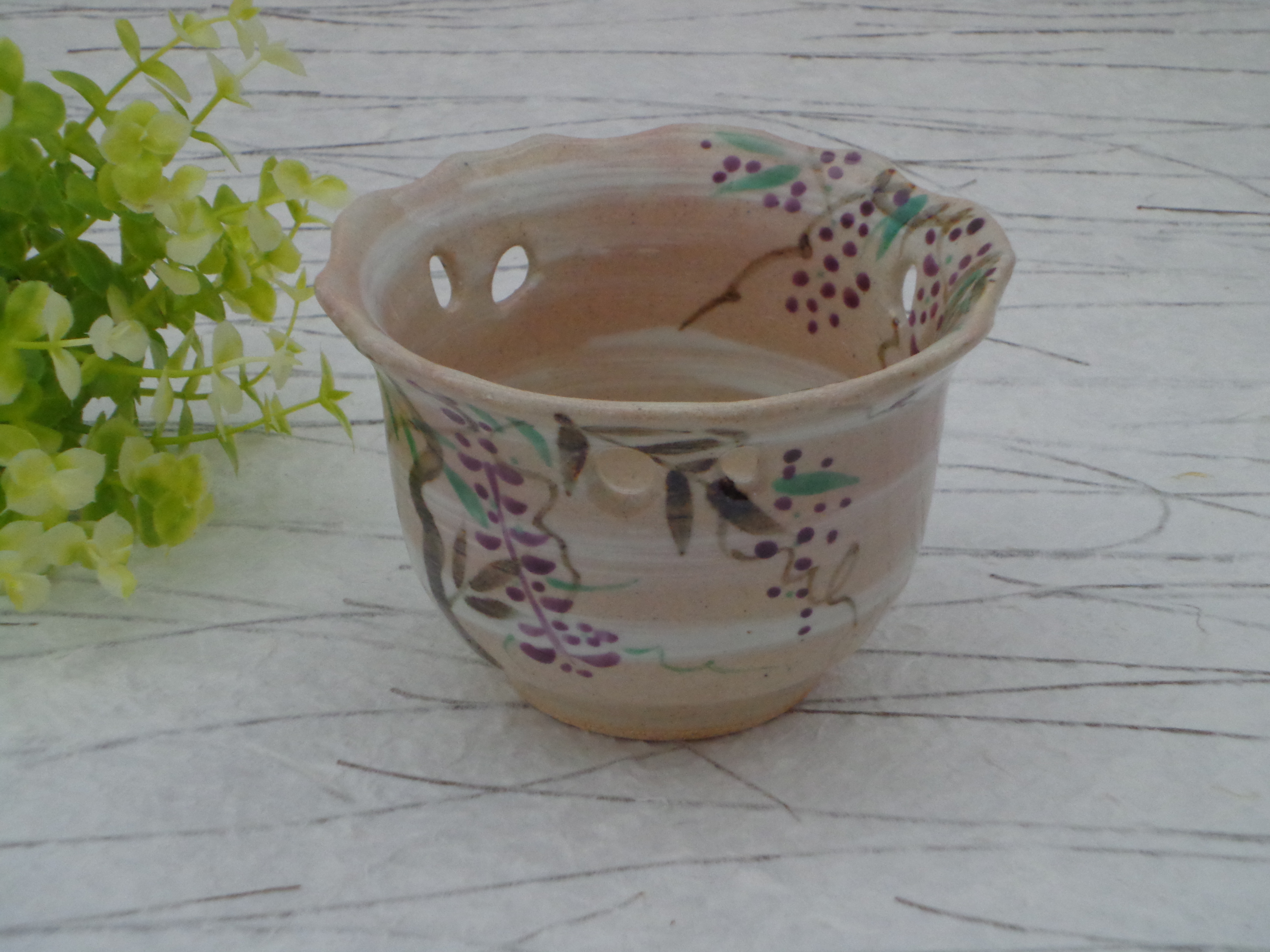 藤の花が咲きはじめました!