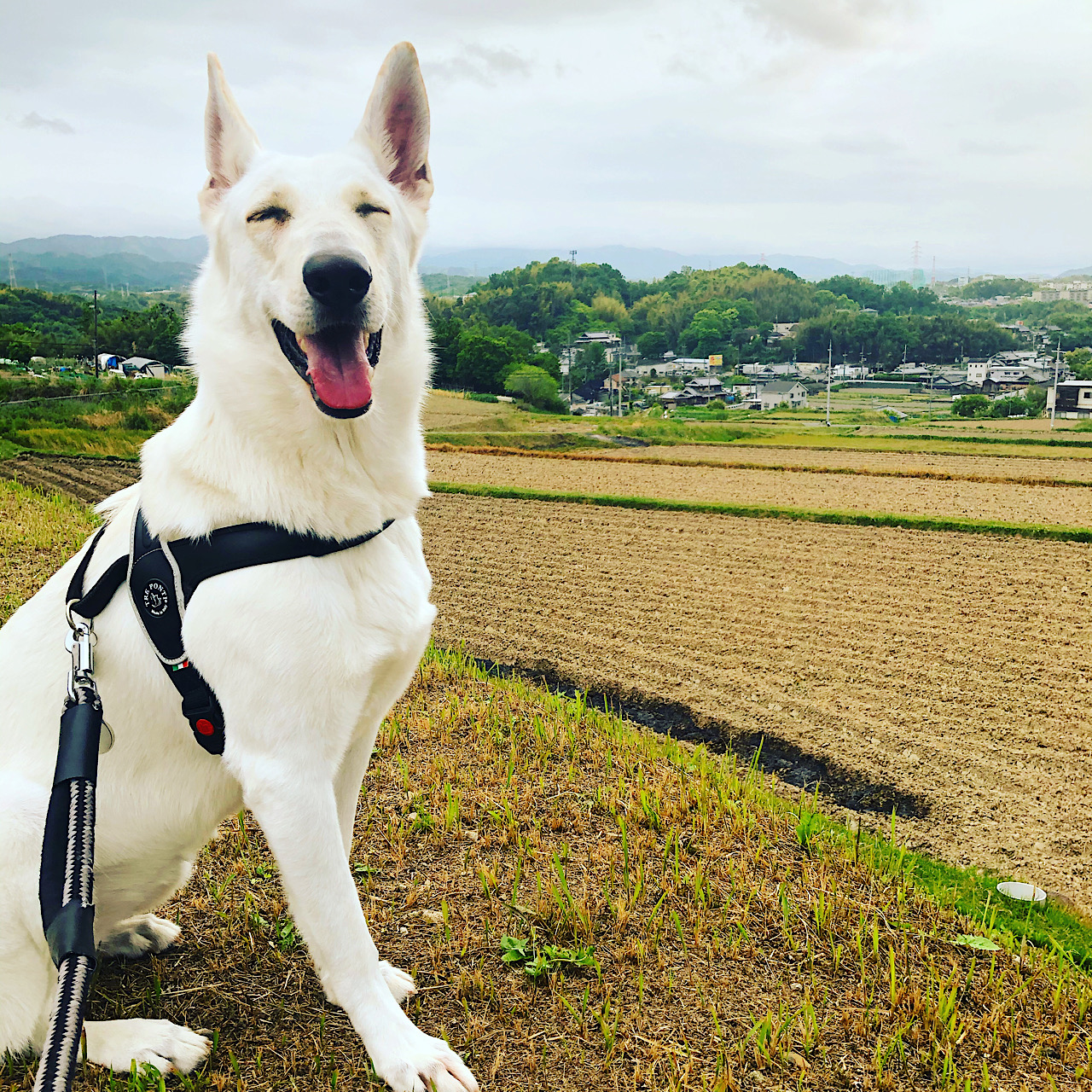 おうちでシャンプー☆